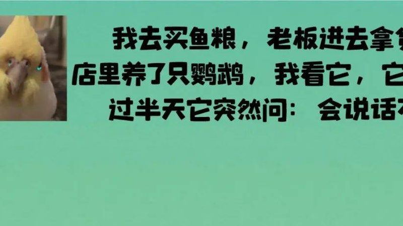 品质认证和安全指标是衡量坚果炒货品质的重要标准。消费者在选购时，可关注以下认证：