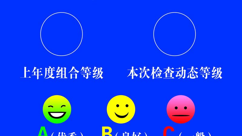 揭秘蜜饯果干选厂家的关键要素